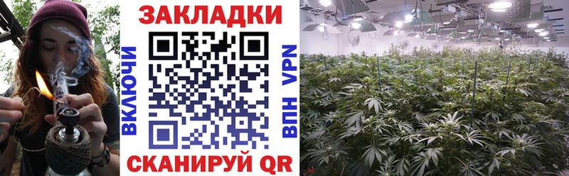 Где купить Темников ГАШИШ  COCAIN  МЕФ  Конопля 