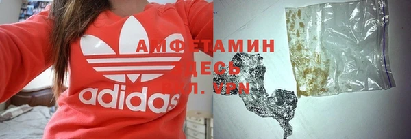 шишки Балахна