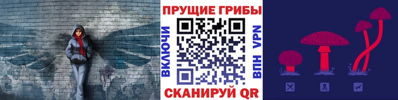 купить   Темников  darknet какой сайт  Псилоцибиновые грибы Psilocybine cubensis  blacksprut онион 