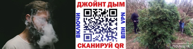 mega вход даркнет сайт Темников Канабис семена